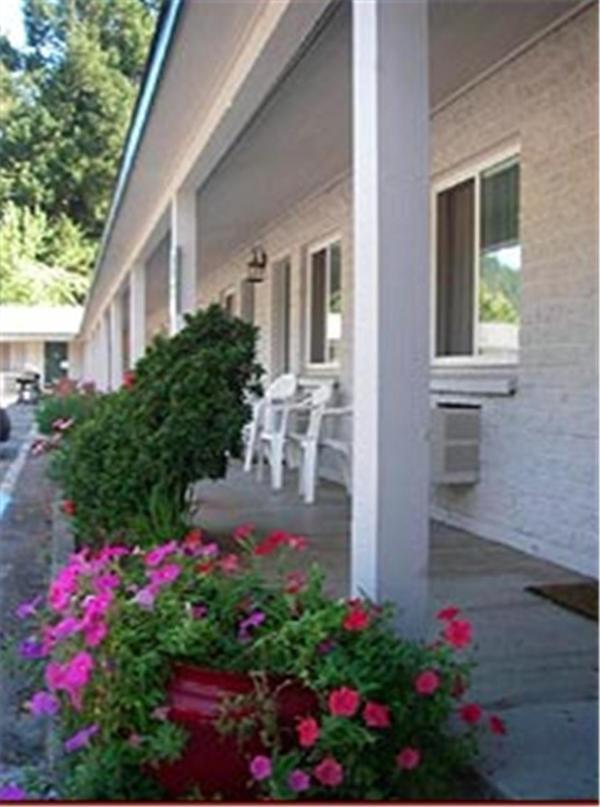 Forest Lodge Motel ハッピー・キャンプ エクステリア 写真