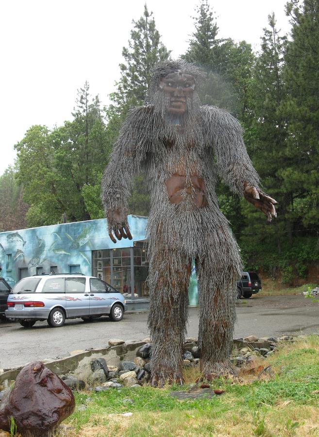 Forest Lodge Motel ハッピー・キャンプ エクステリア 写真